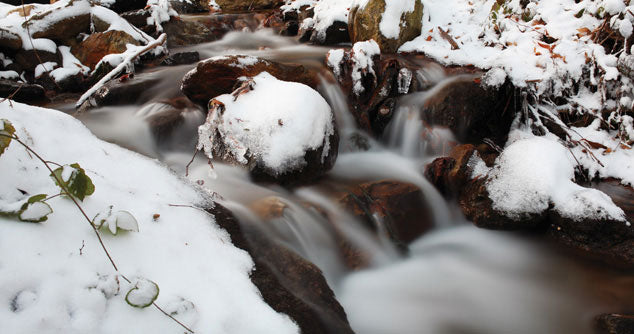 Tips for Winterizing your Pond