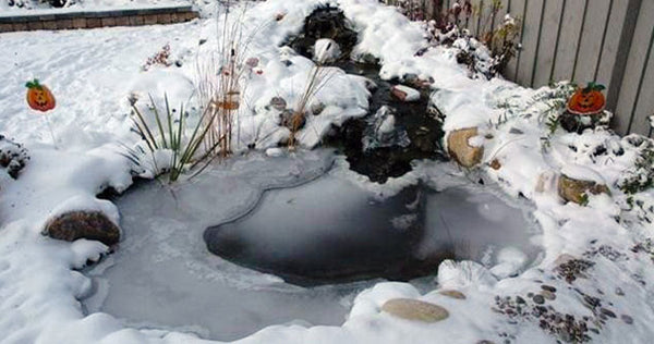 Maintain a Running Winter Pond