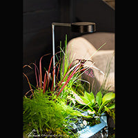 AquaScape AquaGarden Plant Light