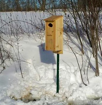 Cedar Wood Duck House